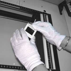 Polyco Serva Polycotton Gloves 9 - BTJ147 - Image 4