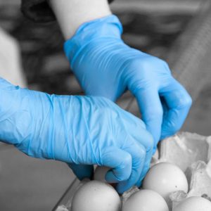 Shield GD21 Blue Nitrile Powder Free Disposable Glove - GD21 - Image 4