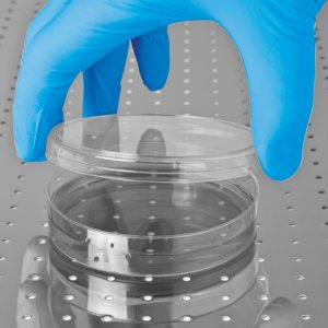 HandSafe GN83 Blue Nitrile Powder Free Examination Glove - GN83 - Image 4