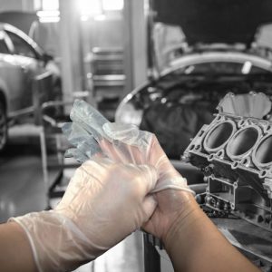 Shield GD09 Clear Vinyl Powder Free Disposable Glove - GD09 - Image 4