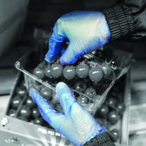 Shield GD11 Blue Vinyl Powdered Disposable Glove - GD11 - Image 4