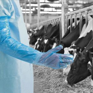 Shield Long Arm Blue Polythene Gauntlets - GL2950 - Image 3