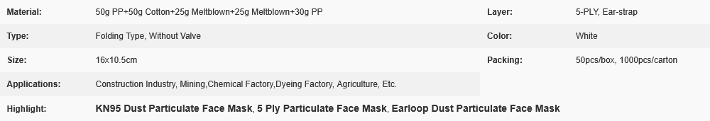 Screenshot 2026-02-25 at 10-01-16 SGS Earloop 5 Ply KN95 Dust Particulate Face Mask