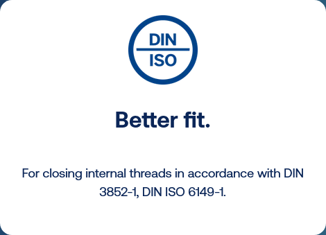Screenshot 2026-02-27 at 07-46-35 KAPSTO® Sealing plug with O-ring for internal threads – GPN 737