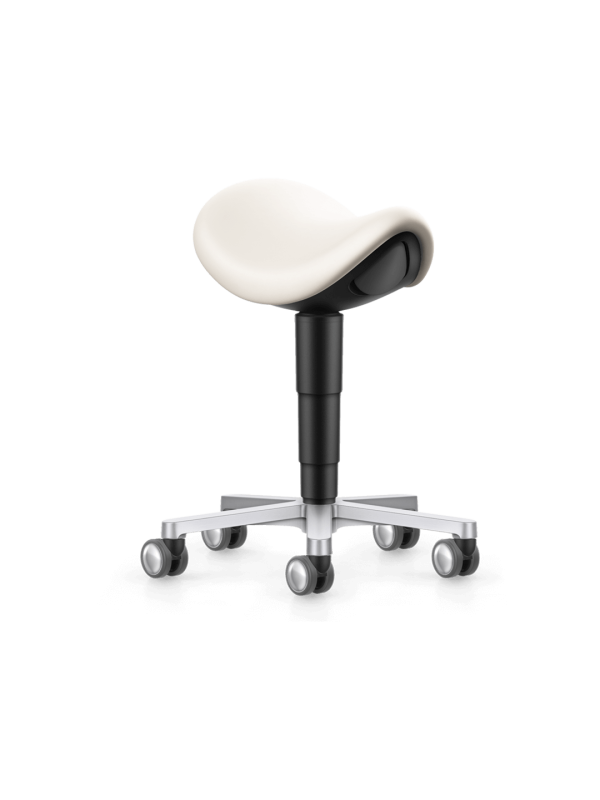 Laboratory Saddle Stool Singapore